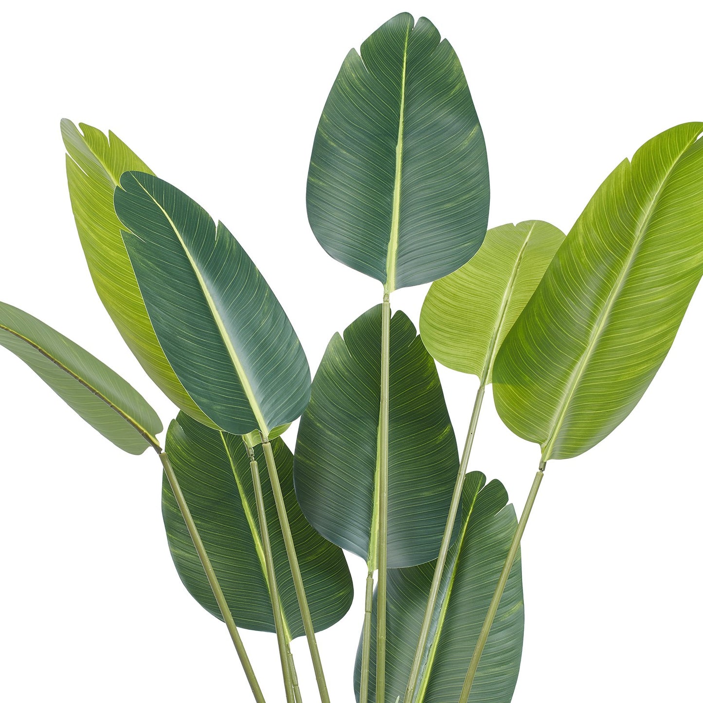 Artificial Birds of Paradise, 1.5m Tall Artificial Plant, PE Material and Tip-over Protection, Low Maintenance Plant, Lifelike Green Fake Tree for Home Office Warehouse Decor Indoor Outdoor