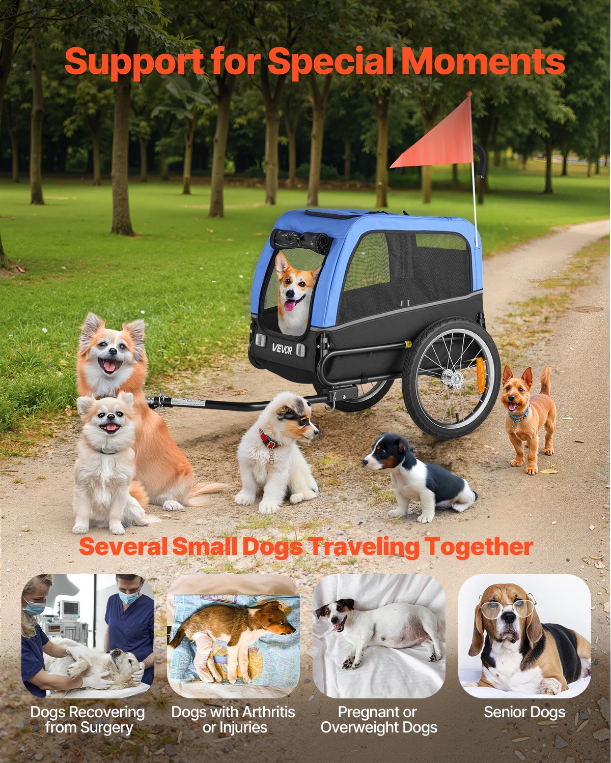 Dog Bike Trailer, Supports up to 66 lbs, Pet Cart Bicycle Carrier for Small & Medium Dogs, Easy Folding Frame with Quick Release Wheel, Universal Bicycle Coupler, Reflector, Flag, Internal Leash