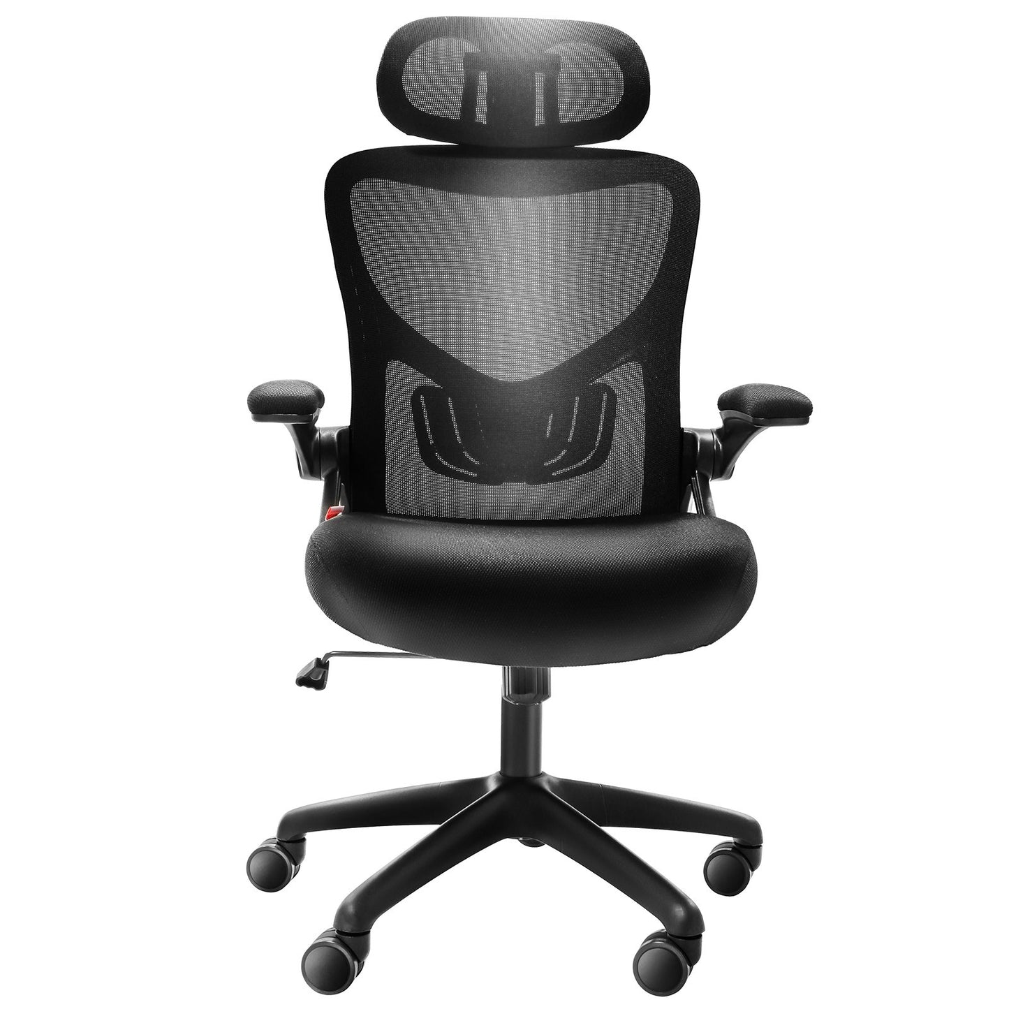 Office Chair with Adjustable Lumbar Support, High Back Ergonomic Desk Chair with Adjustable Headrest, Ergonomic Office Chair Backrest with 2D Armrest, Computer Chair for Home, Office