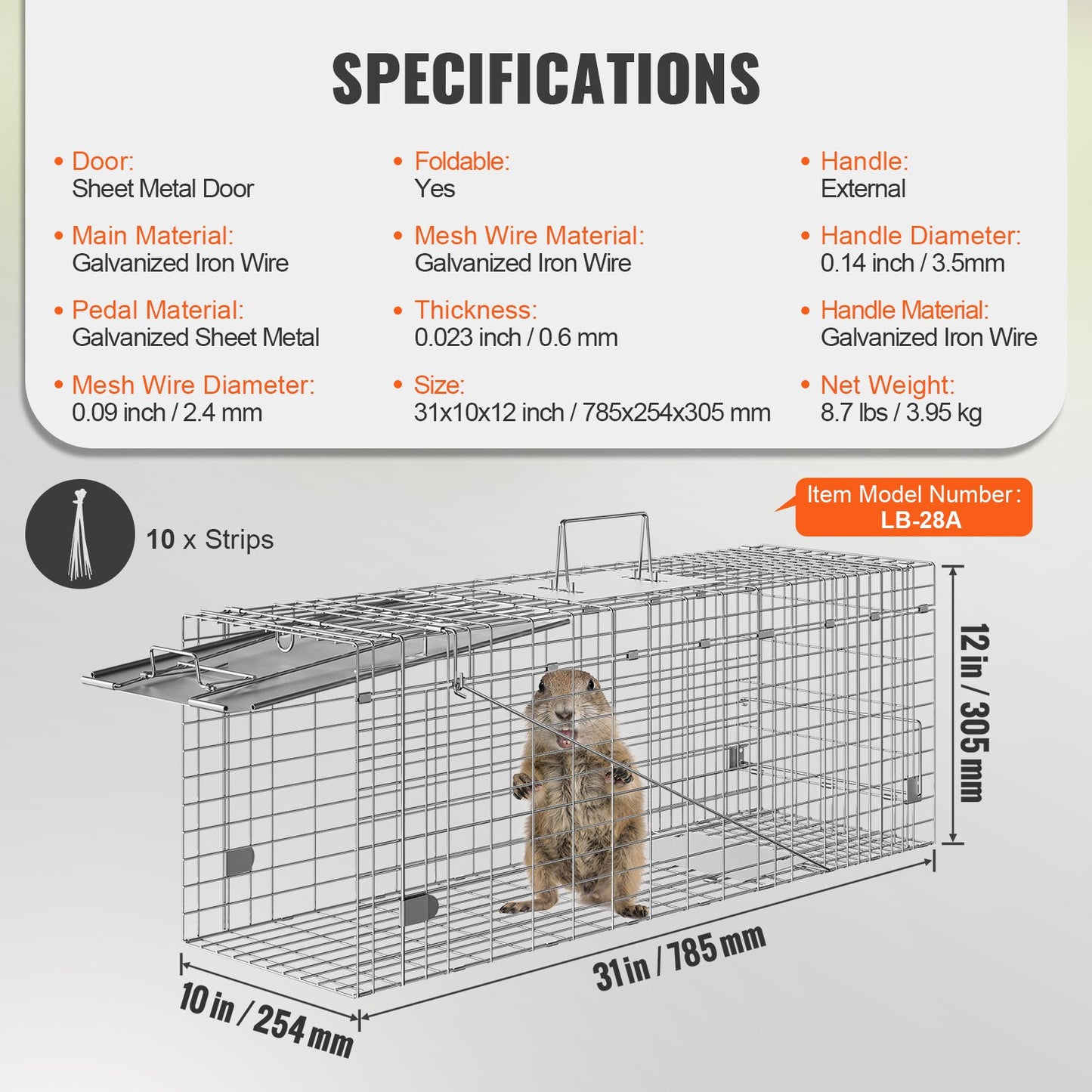 Live Animal Cage Trap, 31" x 10" x 12" Humane Cat Trap Galvanized Iron, Folding Animal Trap with Handle for Rabbits, Stray Cats, Squirrels, Raccoons, Groundhogs and Opossums