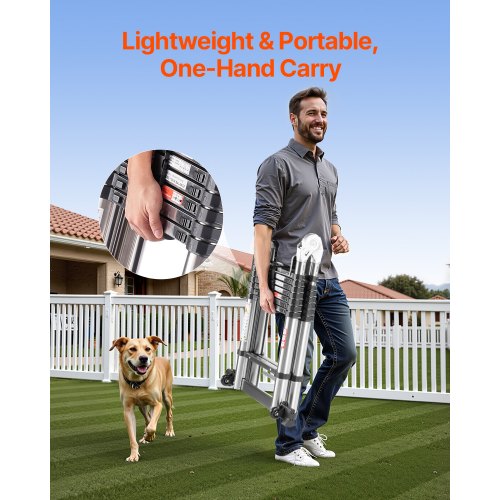 Teleskopleiter A-Rahmen Edelstahl 16,5 ft Ausziehleitern | EU