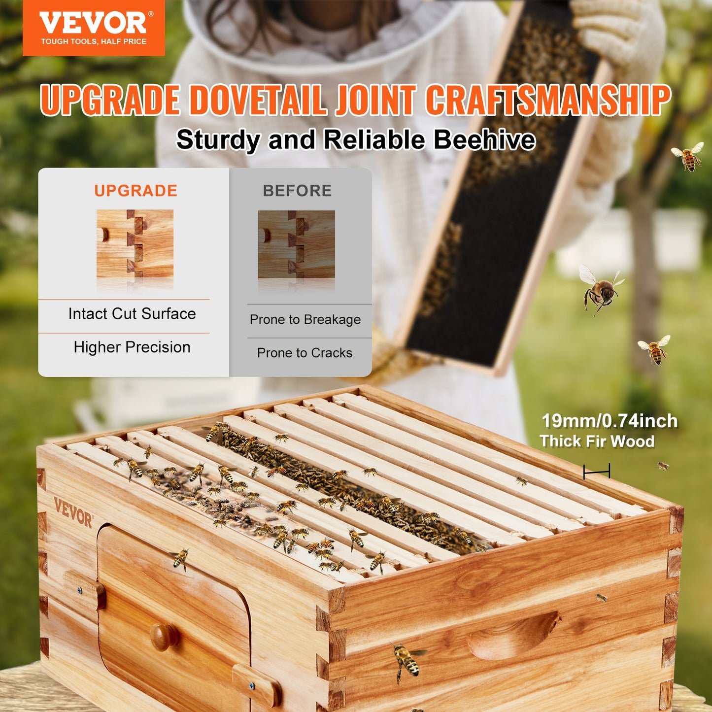 Bee Hive Deep Box Starter Kit, 100% Beeswax Coated Natural Cedar Wood, Langstroth Beehive Kit with 10 Frames and Foundation, Clear Acrylic Beehive Windows for Beginners and Professional Beekeepers
