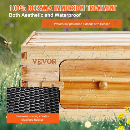 Bee Hive Deep Box Starter Kit, 100% Beeswax Coated Natural Cedar Wood, Langstroth Beehive Kit with 10 Frames and Foundation, Clear Acrylic Beehive Windows for Beginners and Professional Beekeepers