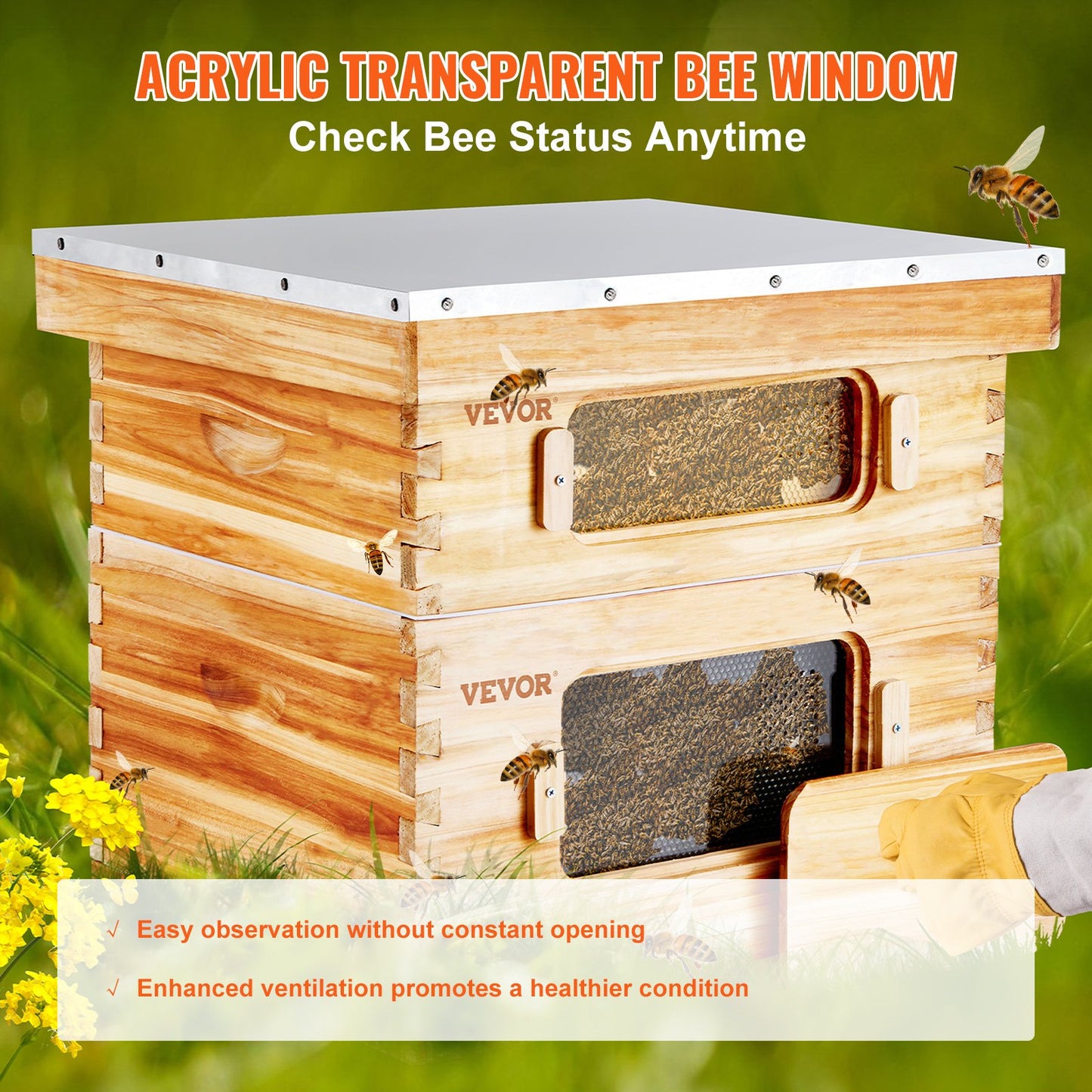 Bee Hive 20 Frame Bee Hives Starter Kit, Beeswax Coated Cedar Wood, 1 Deep + 1 Medium Bee Boxes Langstroth Beehive Kit, Clear Acrylic Windows with Foundation for Beginners Pro Beekeepers