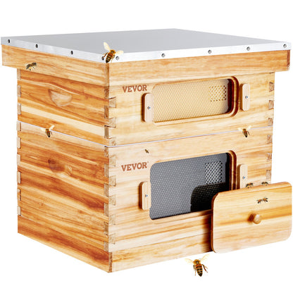 Bee Hive 20 Frame Bee Hives Starter Kit, Beeswax Coated Cedar Wood, 1 Deep + 1 Medium Bee Boxes Langstroth Beehive Kit, Clear Acrylic Windows with Foundation for Beginners Pro Beekeepers