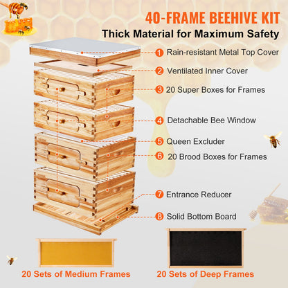 Bee Hive 40 Frame Bee Hives Starter Kit, Beeswax Coated Cedar Wood, 2 Deep + 2 Medium Bee Boxes Langstroth Beehive Kit, Clear Acrylic Windows with Foundation for Beginners Pro Beekeepers