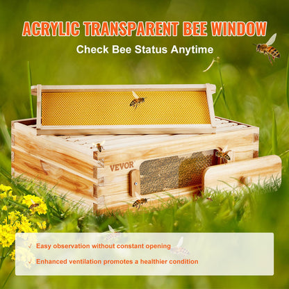 Bee Hive Langstroth Medium Beehive Kit 10 frames Acrylic Bee Windows