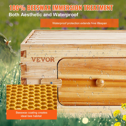 Bee Hive Langstroth Medium Beehive Kit 10 frames Acrylic Bee Windows