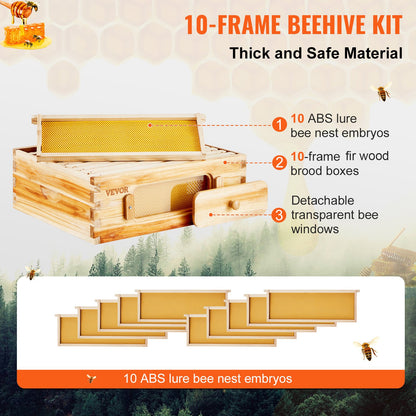 Bee Hive Langstroth Medium Beehive Kit 10 frames Acrylic Bee Windows