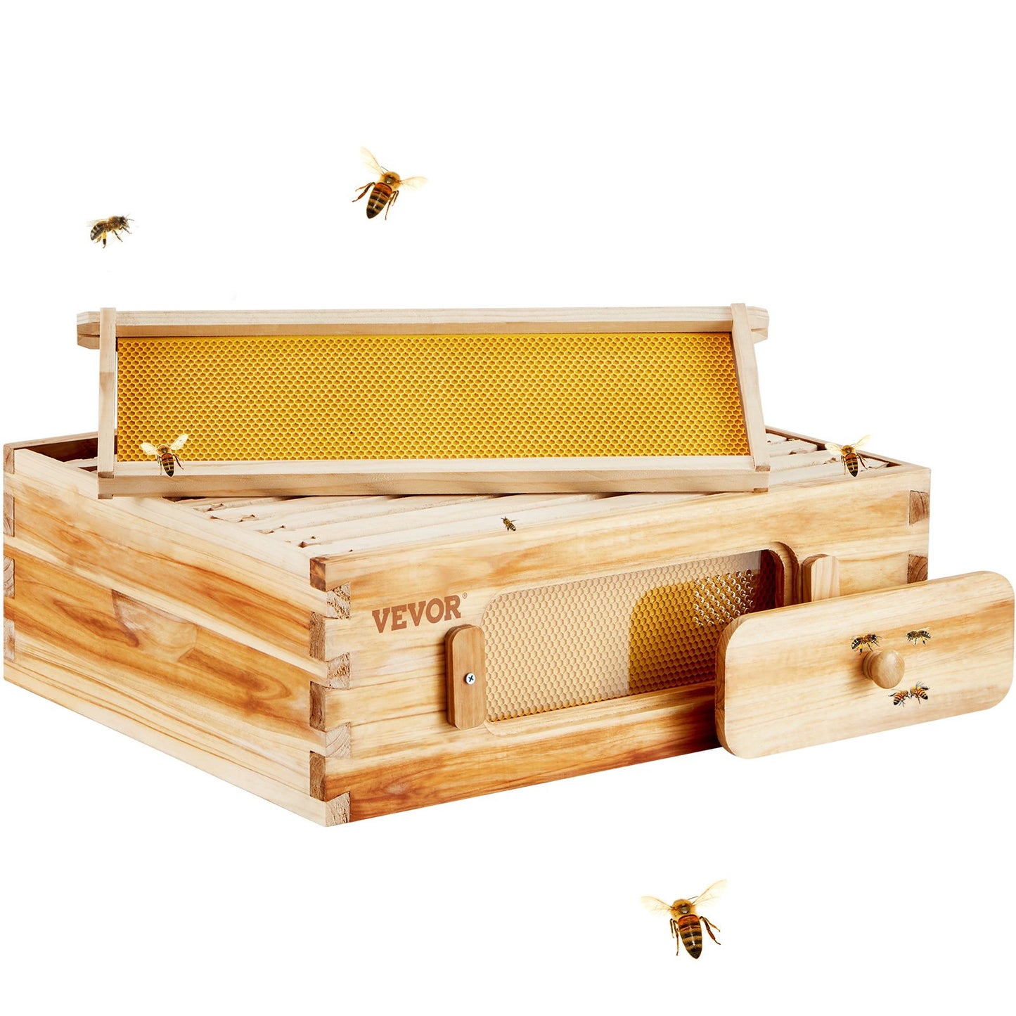 Bee Hive Langstroth Medium Beehive Kit 10 frames Acrylic Bee Windows