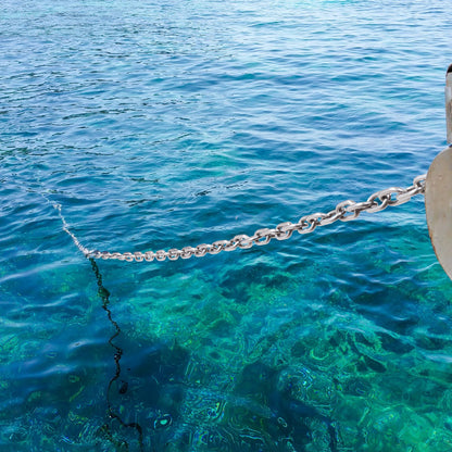 Boat Anchor Chain, 1/4" x 4', 1700 lbs. WLL/4800 lbs. BS, 316 Stainless Steel Marine Grade Anchor Lead Chain with Dual Lock Ring Shackles for Boats, Deck, Fishing, Works with Different Anchors