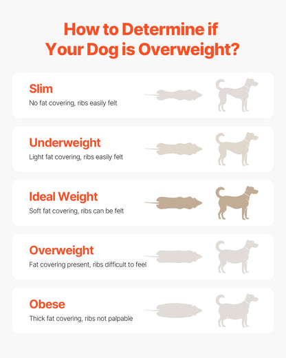 Hundelaufband für mittelgroße Hunde bis 220 lbs elektrisches Laufband für Haustiere