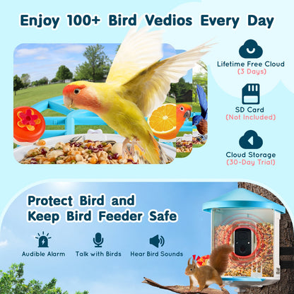 Smart Bird Feeder with Camera, 2K HD AI Identify 10,000+ Bird Species, Solar-Powered Bird Watching Camera with Auto Capture & Instant Notify, Wireless Outdoor Ideal Gift for Bird Lovers (Green)
