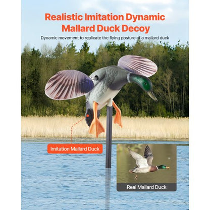 Spinning Wing Motion Anklockor Utomhus Realistiska Kricka Lockor För Jakt