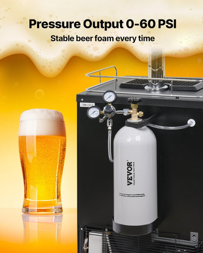 CO2 Tank, 10 lbs New Aluminum Alloy Cylinder, CO2 Air Tank with Light Spray Coating, CGA320 Valve, Handle & Adjustable Pressure, DOT Approved Cylinder for Draft Beer Dispensing and Soda Maker