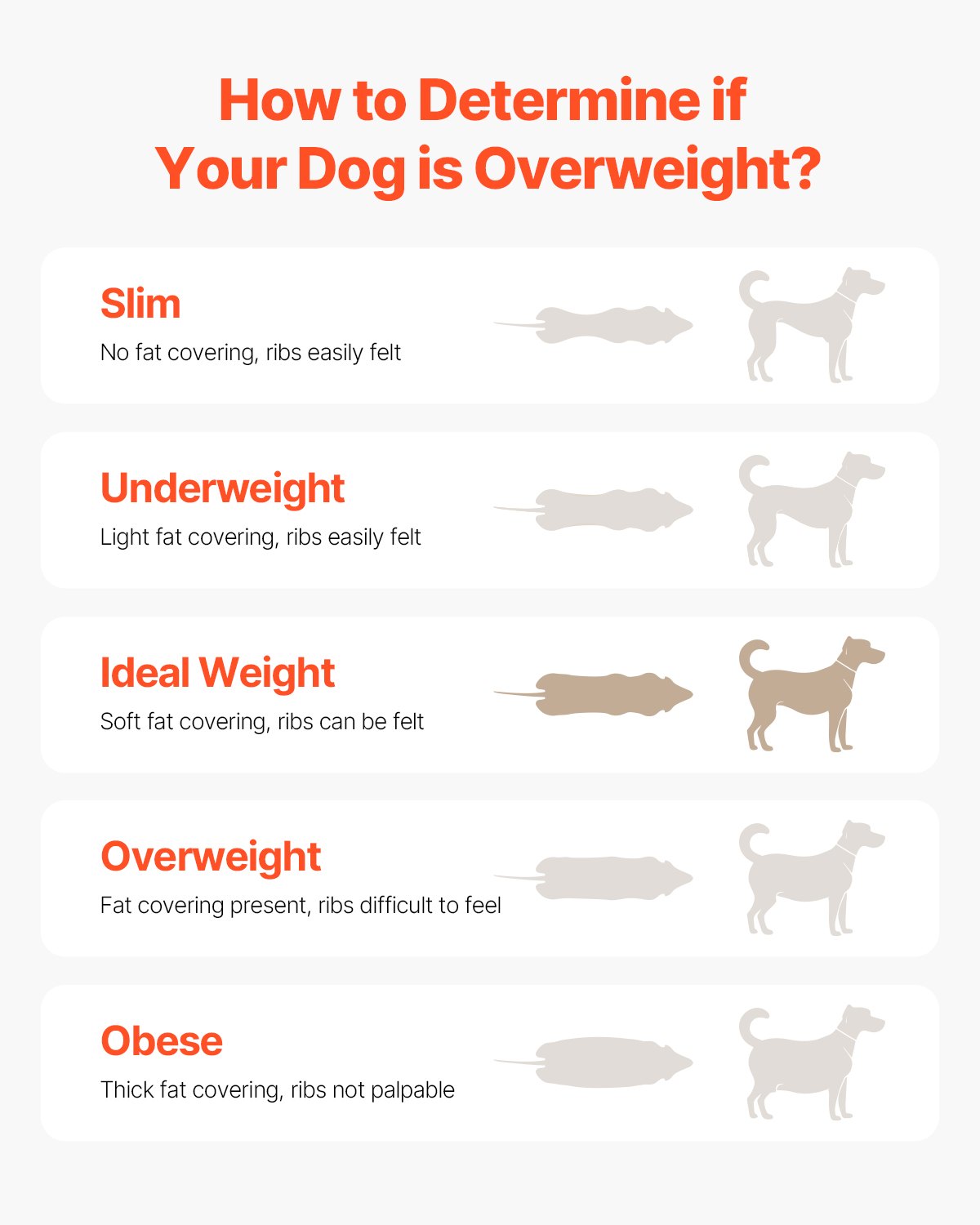 Hundlöpband för stora hundar upp till 220 lbs inomhus löparmaskin för husdjur