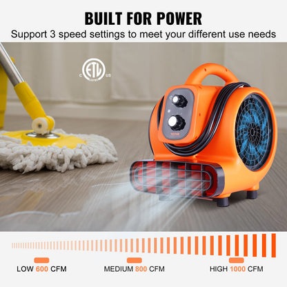 Floor Blower, 1/4 HP, 1000 CFM Air Mover for Drying and Cooling, Portable Carpet Dryer Fan with 4 Blowing Angles and Time Function, for Janitorial, Home, Commercial, Industrail Use, ETL Listed