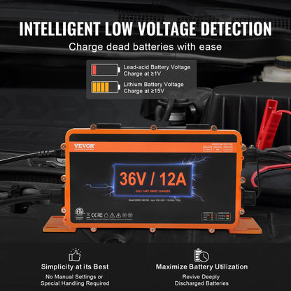 36 Volt 12 Ampere Golfwagen Smart Batterieladegerät für EZGO D-Style IP67 ETL