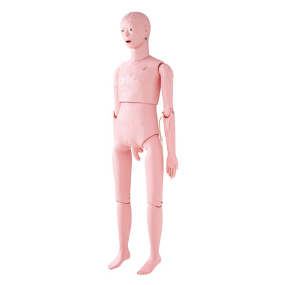 Nursing Training Manikin, Life-Size Male Demonstration Human Manikin for Nursing Training, Multifunctional Education Teaching Model Accessories, Anatomical Mannequin Body Care Simulator Model