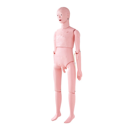 Nursing Training Manikin, Life-Size Male Demonstration Human Manikin for Nursing Training, Multifunctional Education Teaching Model Accessories, Anatomical Mannequin Body Care Simulator Model