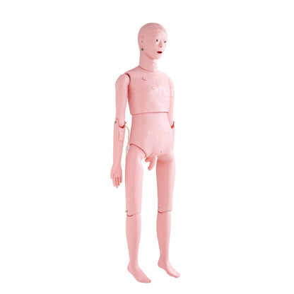 Nursing Training Manikin, Life-Size Male Demonstration Human Manikin for Nursing Training, Multifunctional Education Teaching Model Accessories, Anatomical Mannequin Body Care Simulator Model