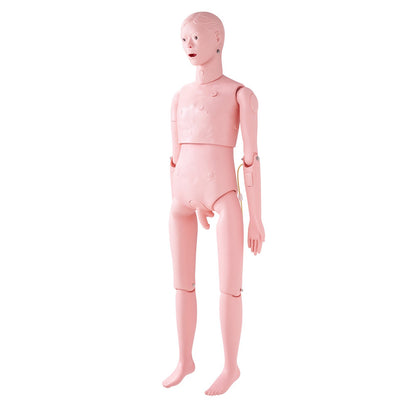 Nursing Training Manikin, Life-Size Male Demonstration Human Manikin for Nursing Training, Multifunctional Education Teaching Model Accessories, Anatomical Mannequin Body Care Simulator Model
