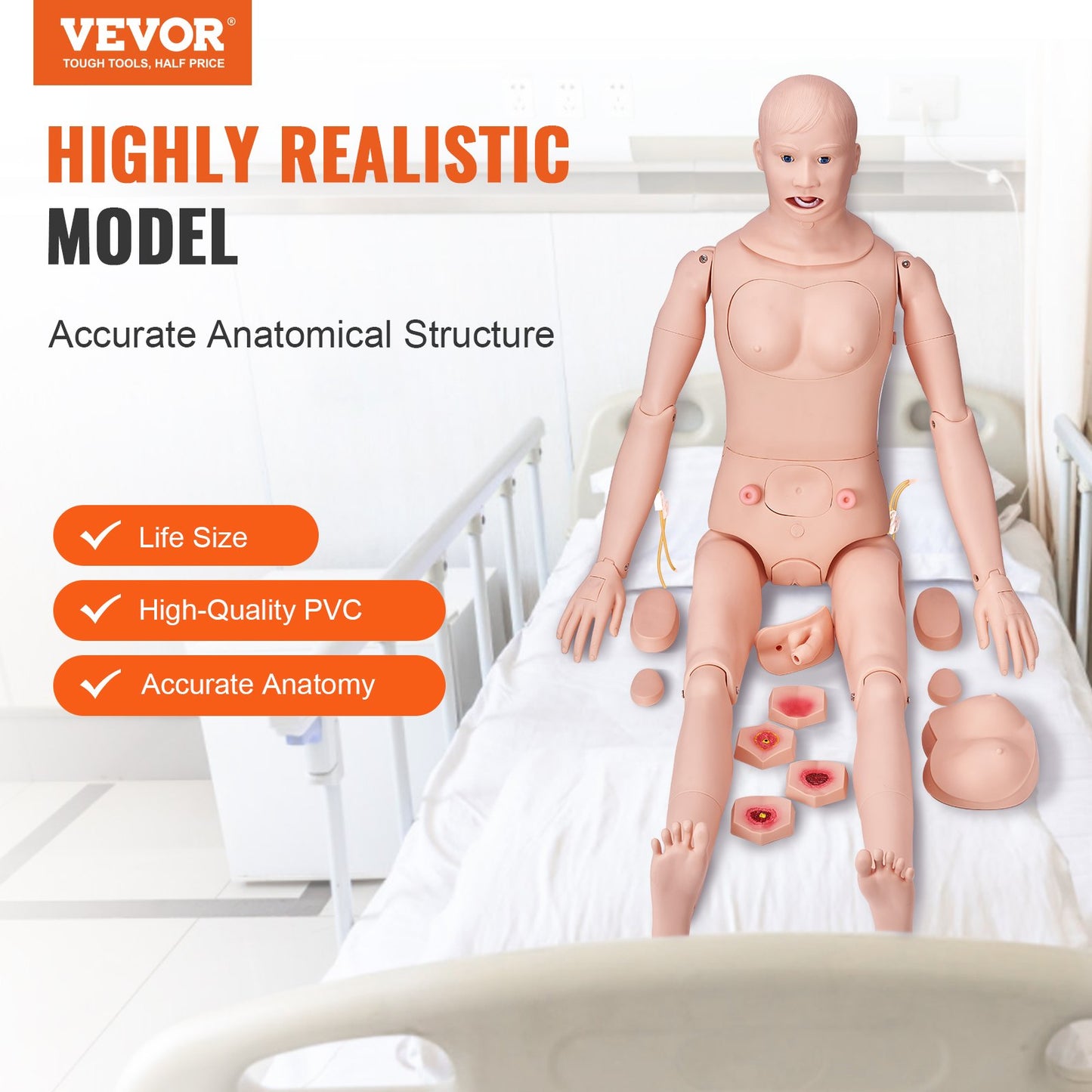 Nursing Training Manikin, Male/Female Life-Size Demonstration Human Manikin for Nursing Training, Multifunctional Education Teaching Model, Anatomical Mannequin Body Care Simulator Model