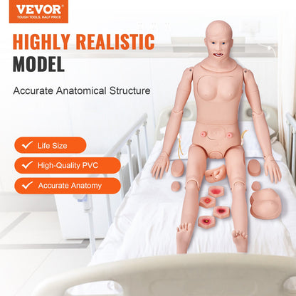 Nursing Training Manikin, Male/Female Life-Size Demonstration Human Manikin for Nursing Training, Multifunctional Education Teaching Model, Anatomical Mannequin Body Care Simulator Model