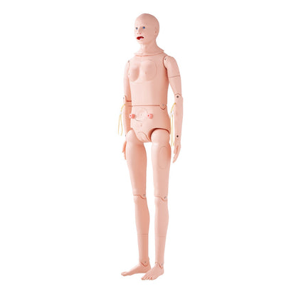 Nursing Training Manikin, Male/Female Life-Size Demonstration Human Manikin for Nursing Training, Multifunctional Education Teaching Model, Anatomical Mannequin Body Care Simulator Model