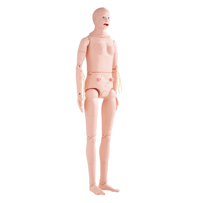 Nursing Training Manikin, Male/Female Life-Size Demonstration Human Manikin for Nursing Training, Multifunctional Education Teaching Model, Anatomical Mannequin Body Care Simulator Model