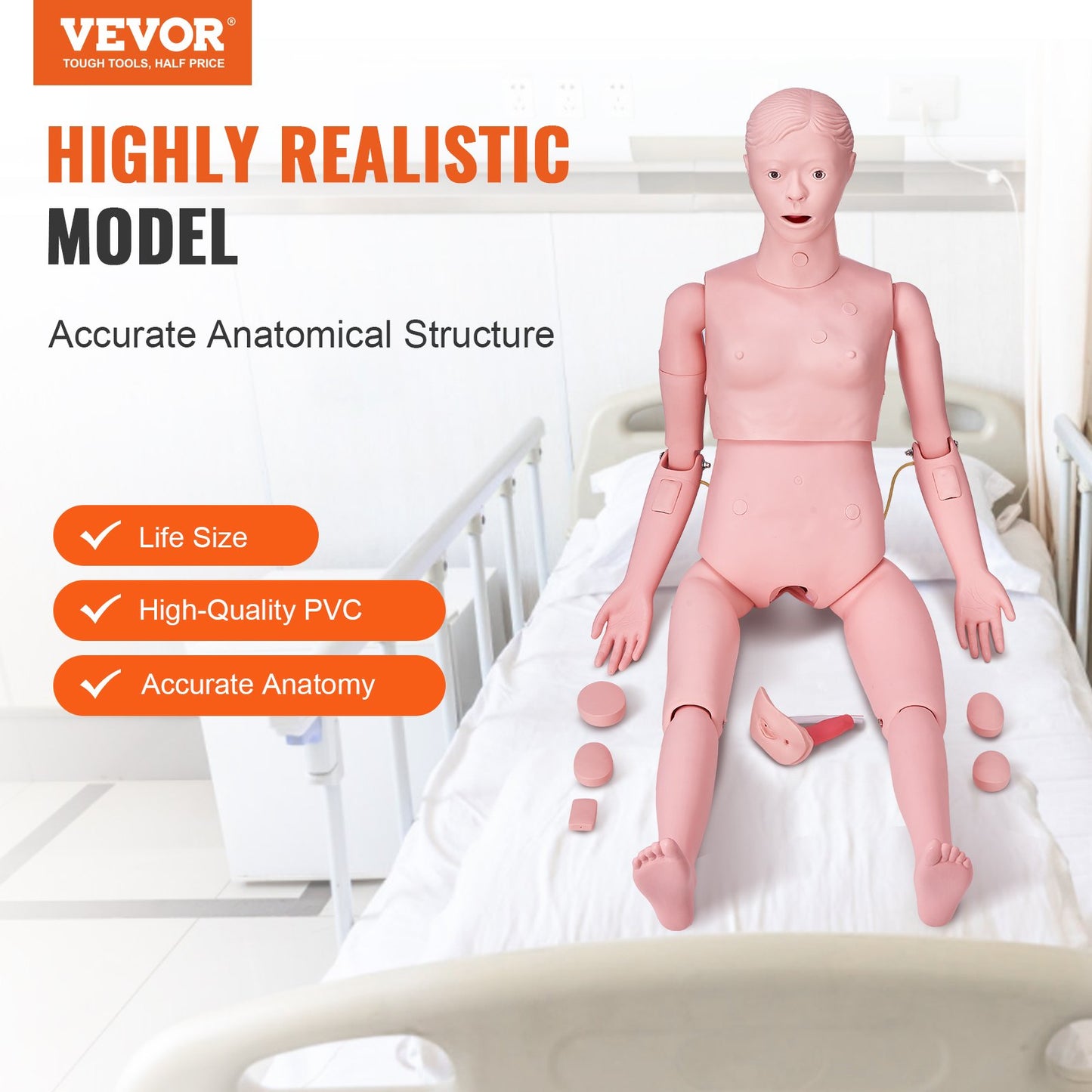 Nursing Training Manikin, Female Human Manikin Demonstration for Nursing Training, Multifunctional Education Teaching Model Accessories, Anatomical Mannequin Body Care Simulator Model