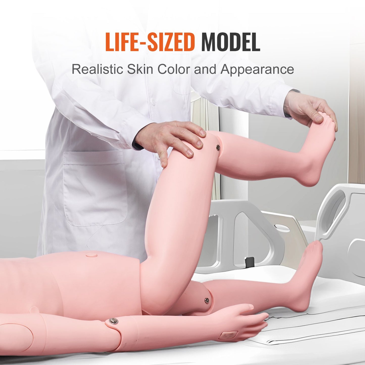 Nursing Training Manikin, Female Human Manikin Demonstration for Nursing Training, Multifunctional Education Teaching Model Accessories, Anatomical Mannequin Body Care Simulator Model