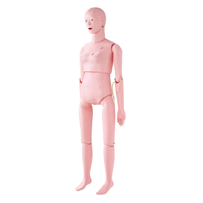Nursing Training Manikin, Female Human Manikin Demonstration for Nursing Training, Multifunctional Education Teaching Model Accessories, Anatomical Mannequin Body Care Simulator Model