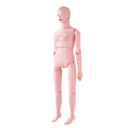 Nursing Training Manikin, Female Human Manikin Demonstration for Nursing Training, Multifunctional Education Teaching Model Accessories, Anatomical Mannequin Body Care Simulator Model