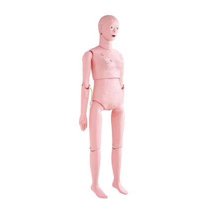 Nursing Training Manikin, Female Human Manikin Demonstration for Nursing Training, Multifunctional Education Teaching Model Accessories, Anatomical Mannequin Body Care Simulator Model