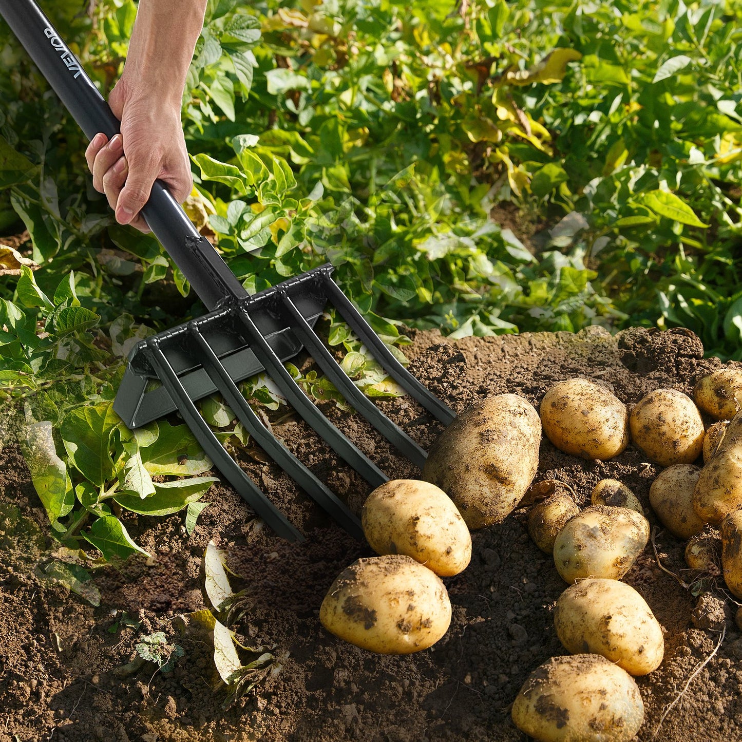 Garden Fork, 5-Tine Gardening Pitchfork with Metal Handle, 41 in Heavy Duty Digging Fork with Y Grip, Forged Steel Spading Fork for Hay Potato Composting Transplanting Aeration