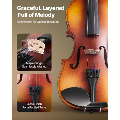 Fiolset 355 mm för nybörjare med fodral i brunt rosin |  EU