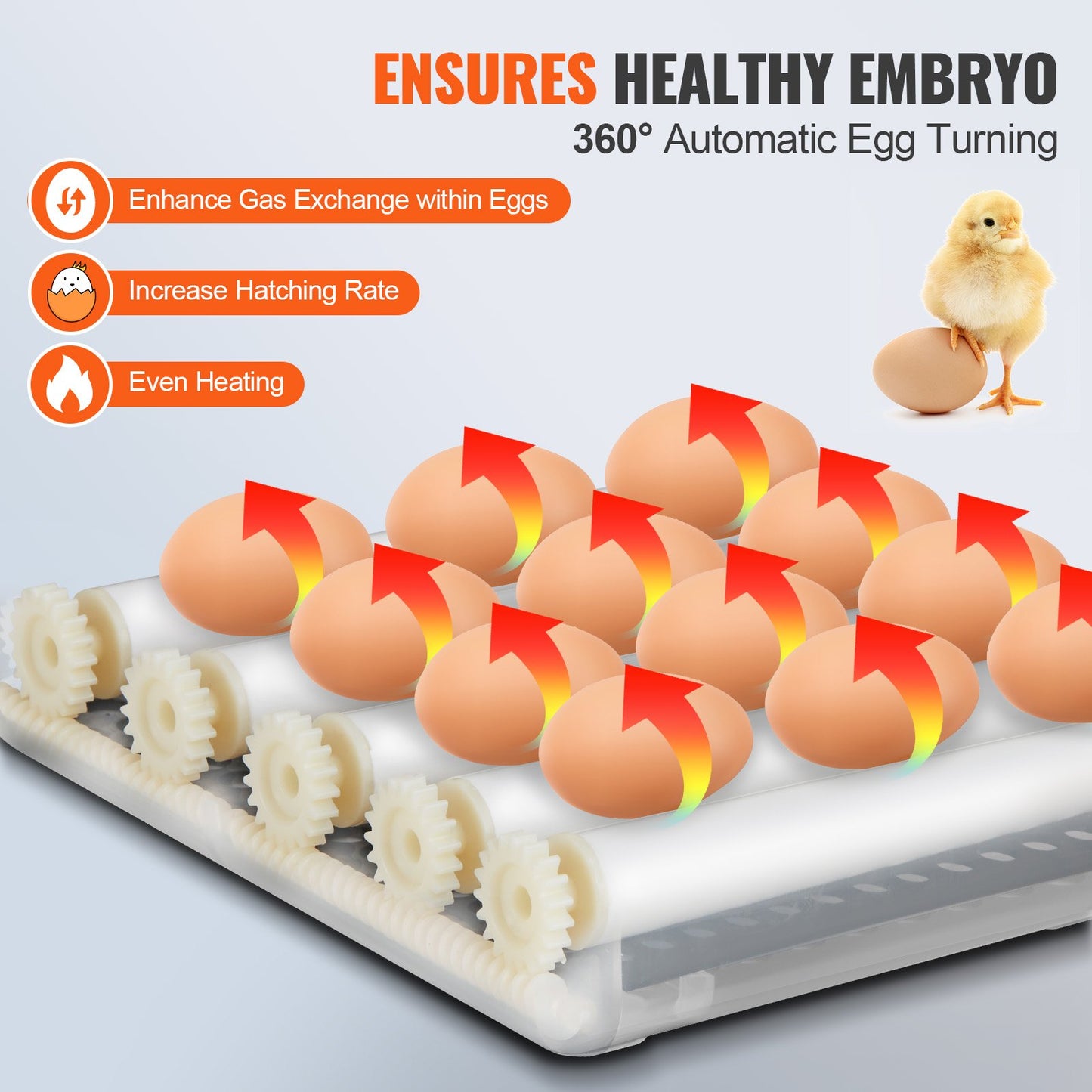 Egg Incubator, Incubators for Hatching Eggs, Automatic Egg Turner with with Temperature and Humidity Control, 12 Eggs Poultry Hatcher with ABS Transparent Shell for Chicken, Duck, Quail