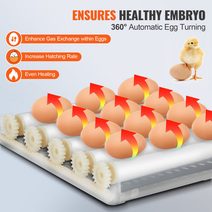 Egg Incubator, Incubators for Hatching Eggs, Automatic Egg Turner with with Temperature and Humidity Control, 12 Eggs Poultry Hatcher with ABS Transparent Shell for Chicken, Duck, Quail