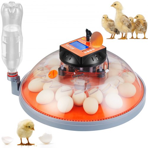 Egg Incubator, Incubators for Hatching Eggs, Automatic Egg Turner with Temperature and Humidity Control, 24 Eggs Poultry Hatcher with ABS Transparent Shell for Chicken, Duck, Quail