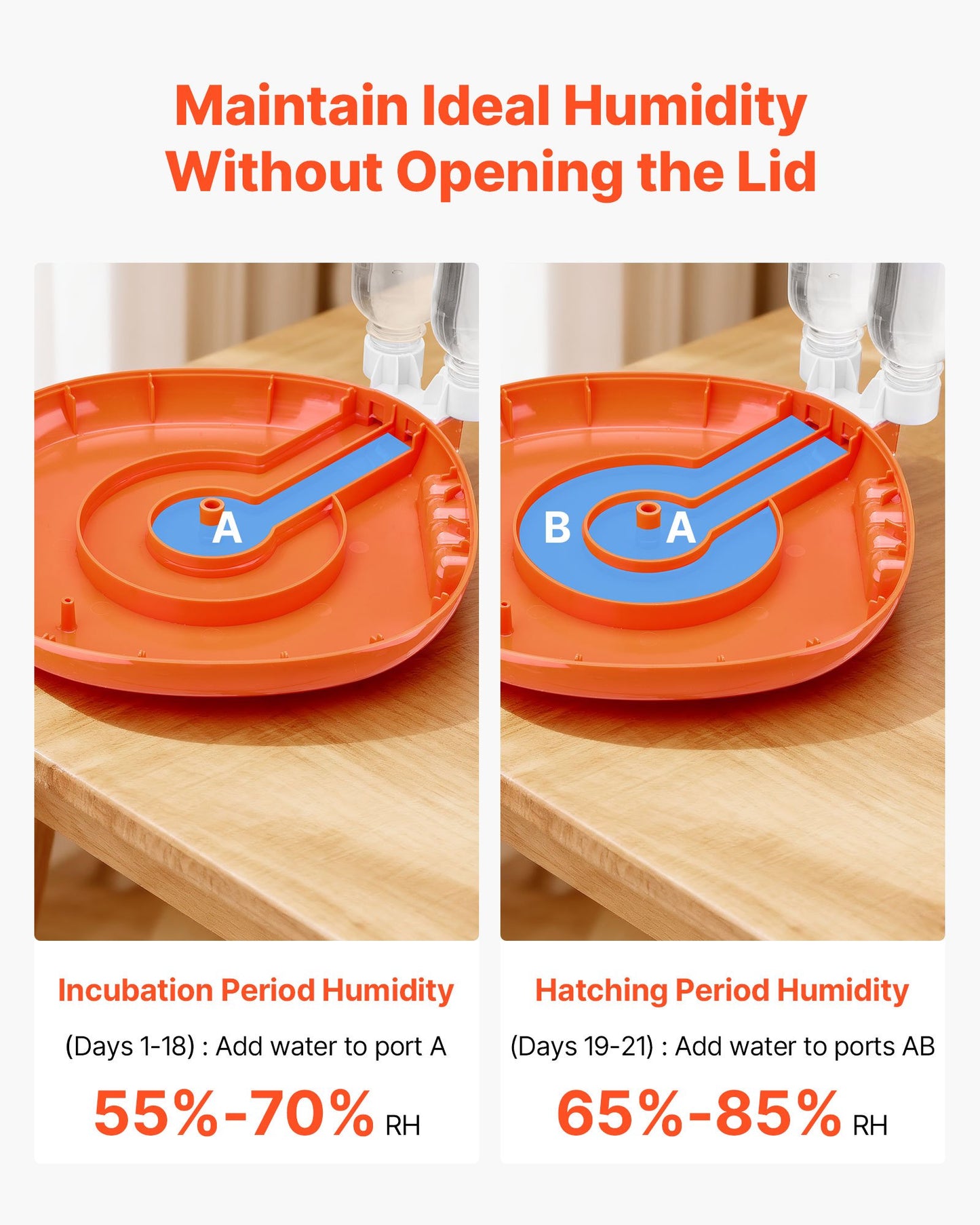 12 Egg Incubator, Automatic Egg Turner with LED Candler, Temperature & Humidity Control, 360° View Clear Window, Poultry Eggs Incubator for Home Farm, Hatching Chicks Ducks Goose Quail