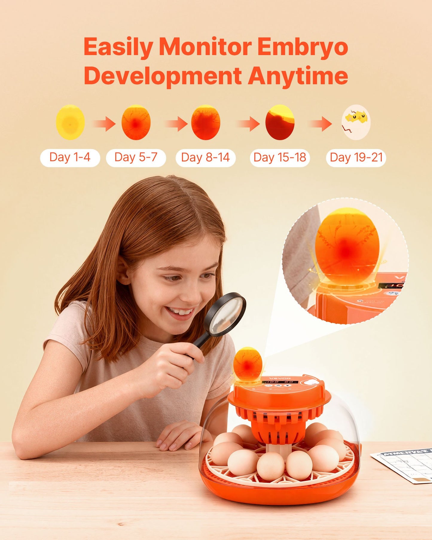 12 Egg Incubator, Automatic Egg Turner with LED Candler, Temperature & Humidity Control, 360° View Clear Window, Poultry Eggs Incubator for Home Farm, Hatching Chicks Ducks Goose Quail