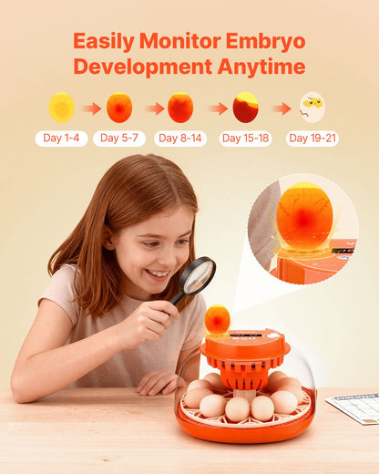 12 Egg Incubator, Automatic Egg Turner with LED Candler, Temperature & Humidity Control, 360° View Clear Window, Poultry Eggs Incubator for Home Farm, Hatching Chicks Ducks Goose Quail