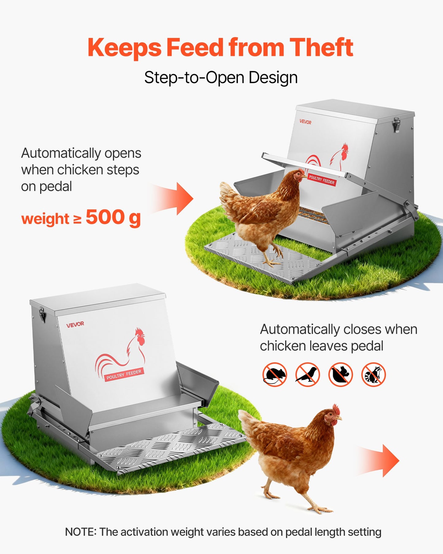 Automatic Chicken Feeder, 40 lbs Capacity, Rainproof Treadle Poultry Feeder with Lockable Lid, No Waste, Galvanized Steel Construction, Outdoor Use, for Chicken, Bantams, Poultry, Pheasants