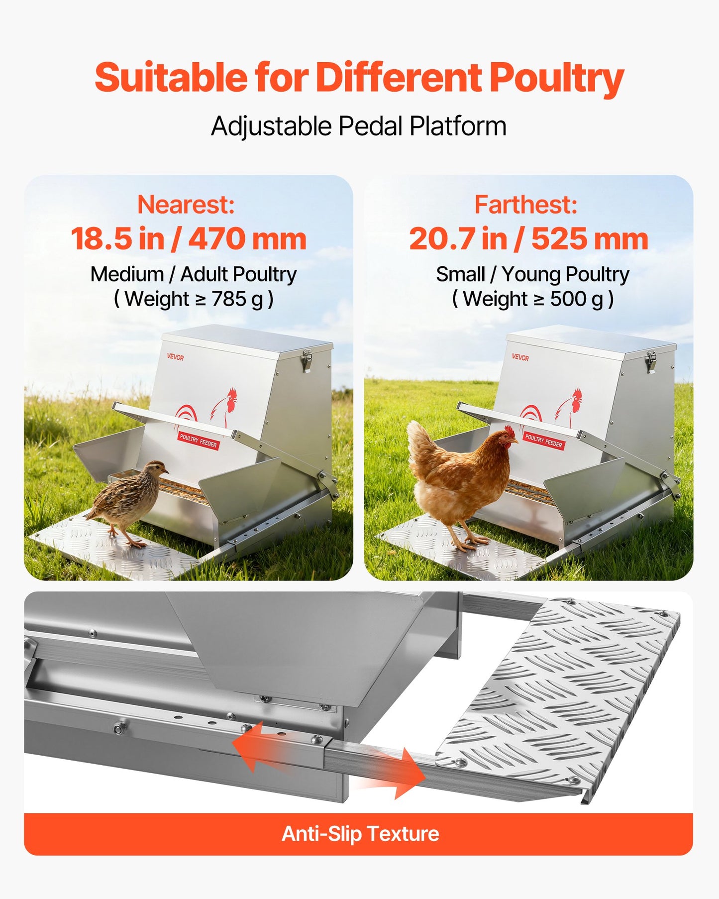 Automatic Chicken Feeder, 40 lbs Capacity, Rainproof Treadle Poultry Feeder with Lockable Lid, No Waste, Galvanized Steel Construction, Outdoor Use, for Chicken, Bantams, Poultry, Pheasants