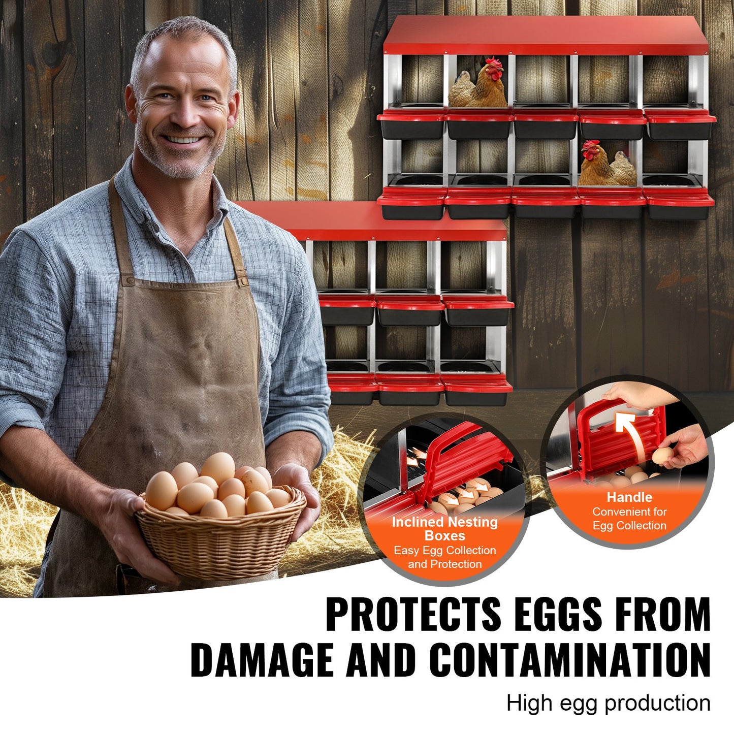 10-Fächer Hühnerstall Mentalbox mit schrägen Nestern