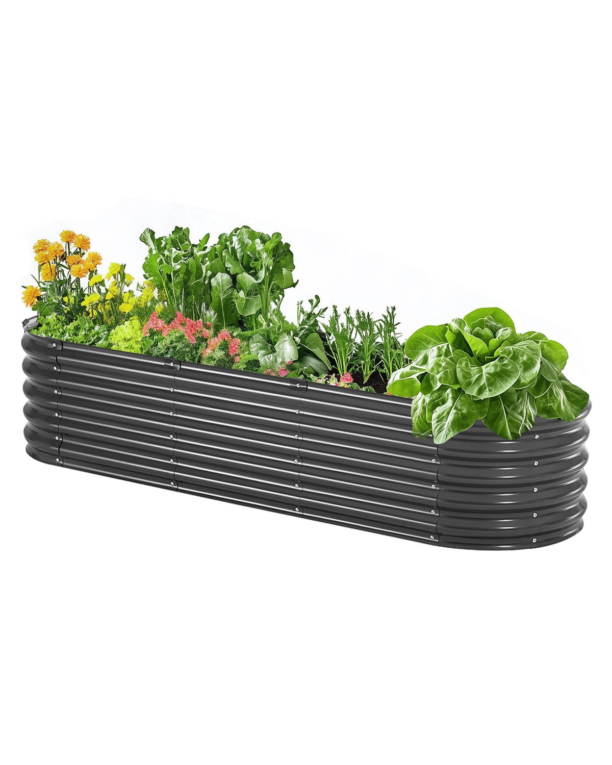 Metall angehobenes Garten-Bett 6.56x1.96x1.4 Fuß galvanisierte Pflanzer-Kasten-Dunkelgrau