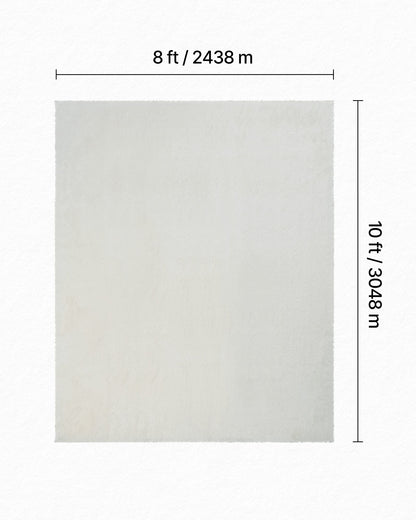 Indoor Plush Area Rugs, 8 x 10 ft Soft Plush Carpet, Furry Shag Area Rugs for Living Room, Bedroom, Sunroom, Modern Home Decor Aesthetic, Non-Shedding, Non-Woven, Slip-Resistant, Ivory White