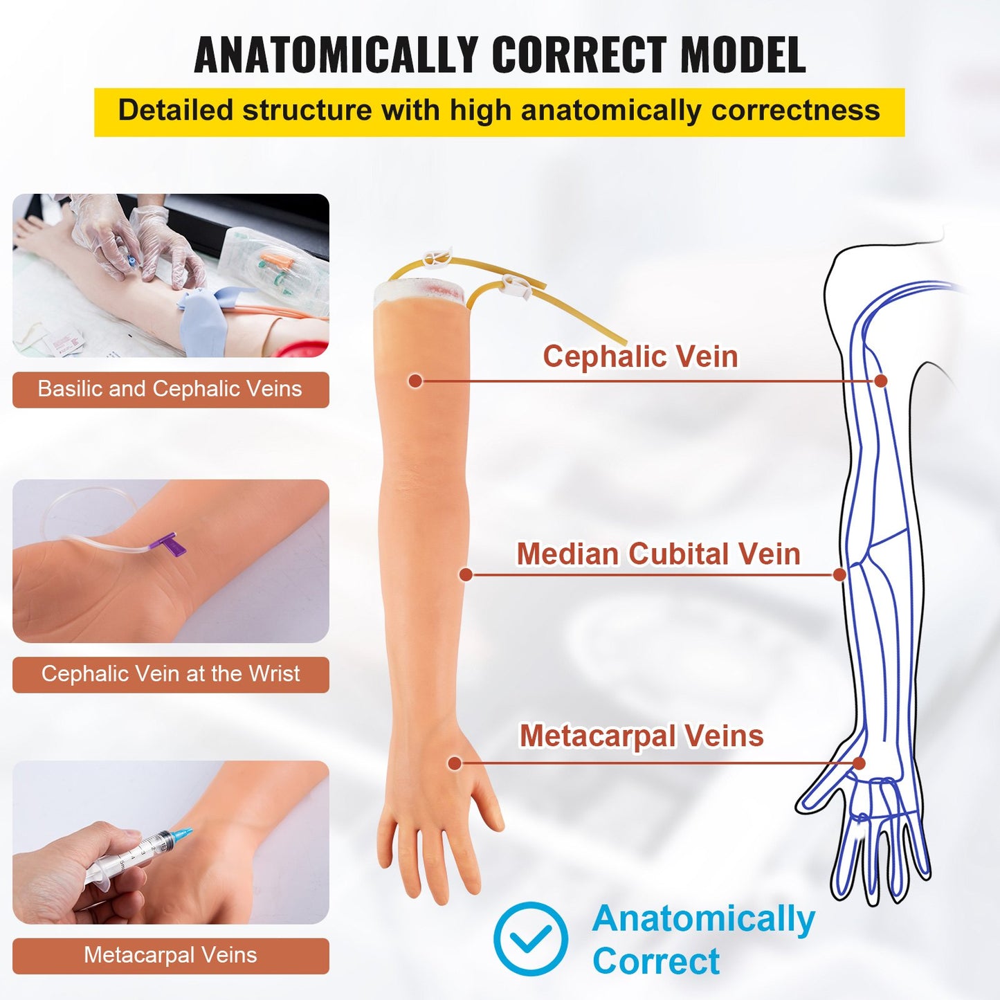 Phlebotomy Practice Kit, IV Venipuncture Intravenous Training, High Simulation IV Practice Arm Kit with Carrying Case, Practice and Perfect IV Skills, for Students Nurses and Professionals