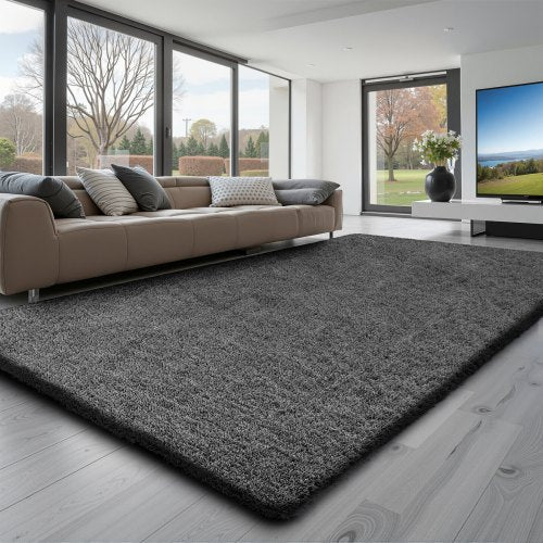 Indoor Plush Area Rugs, 5 x 8 ft Soft Plush Carpet, Furry Shag Area Rugs for Living Room, Bedroom, Sunroom, Modern Home Decor Aesthetic, Non-Shedding, Non-Woven, Slip-Resistant, Dark Gray